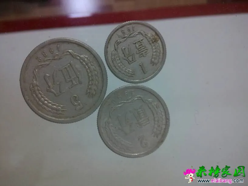 212442as58uh39fhsbzor5.webp
