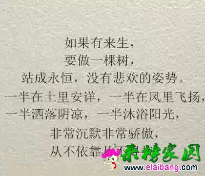 640.webp (7).webp
