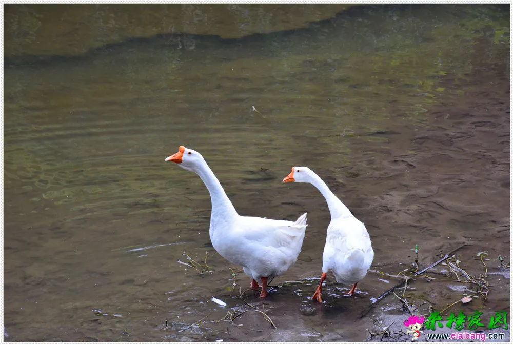 DSC_3274.webp