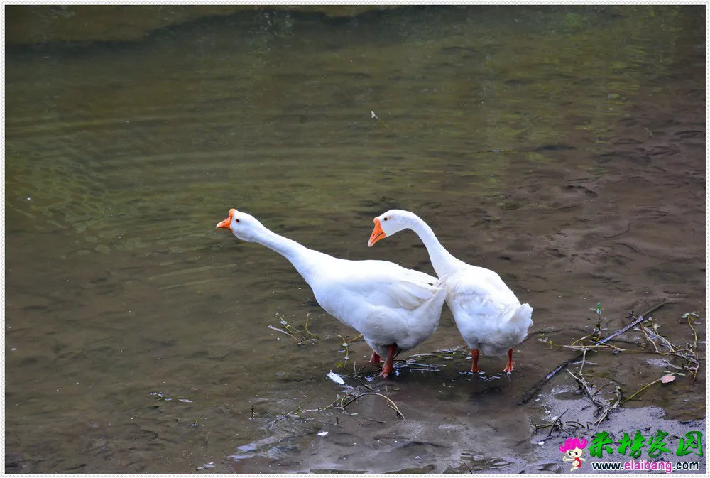 DSC_3275.webp