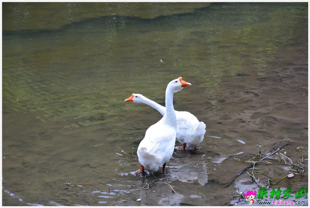 DSC_3277.webp