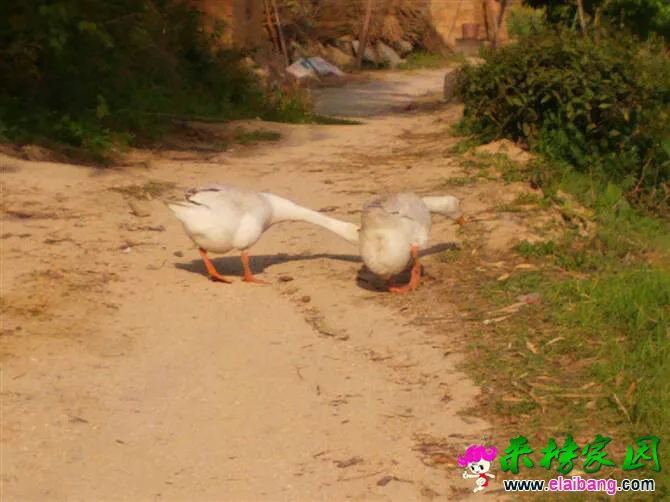 230750klwtn1tk8zswlaah.webp