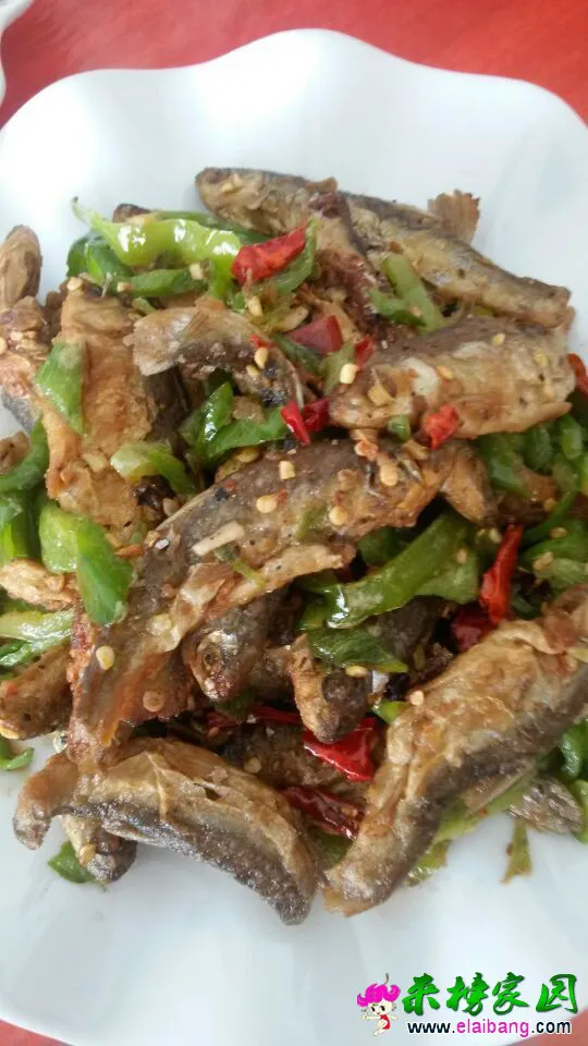 QQ图片201507081303344.webp