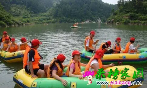 113443ralsab4otp9pkyaq.webp