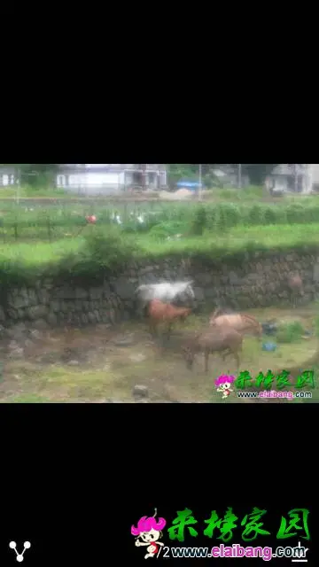 133504wqka4hqq8hkq3co1.webp