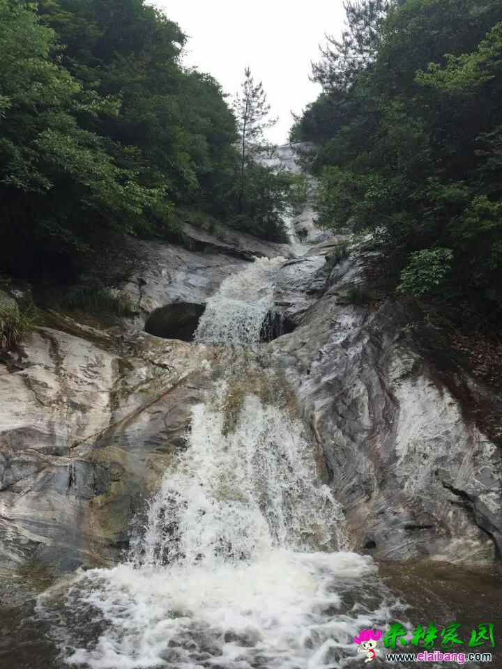 QQ图片20150710093022.webp