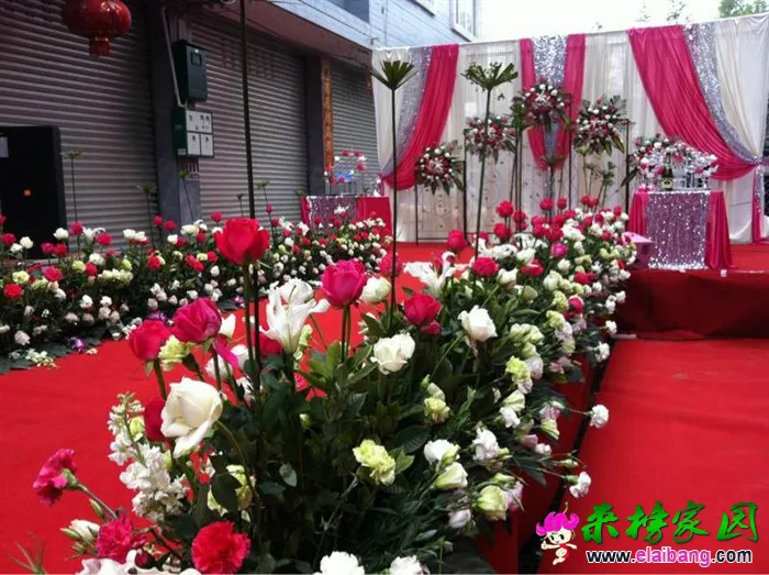 01 (14).webp