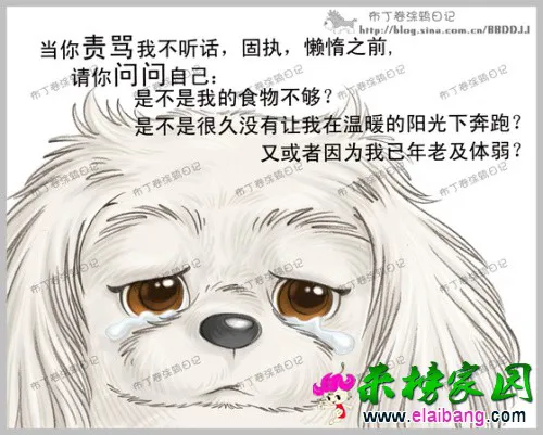 psu (7).webp