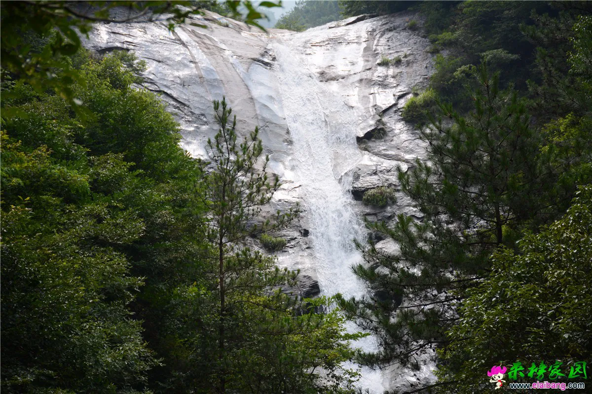 DSC_3423.webp