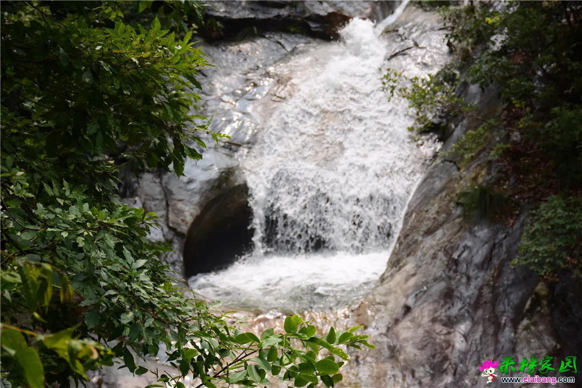 DSC_3427.webp