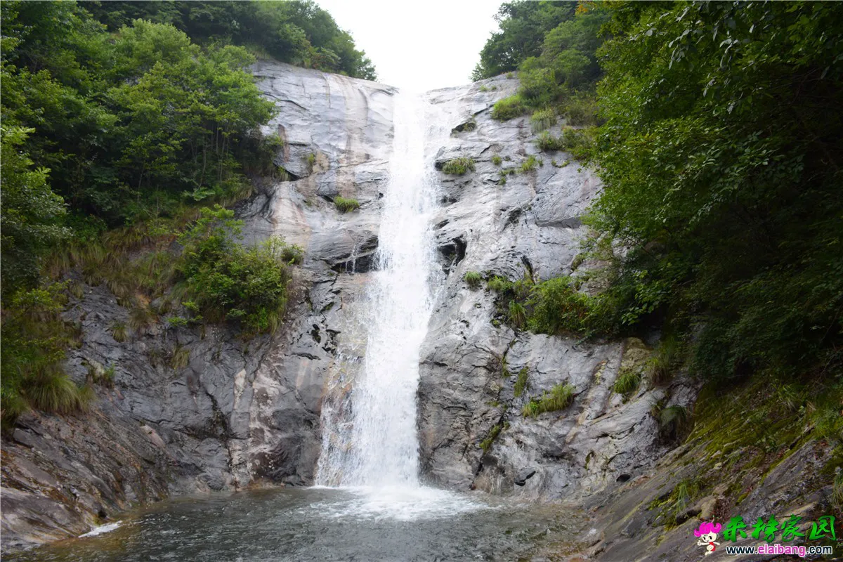 DSC_3445.webp