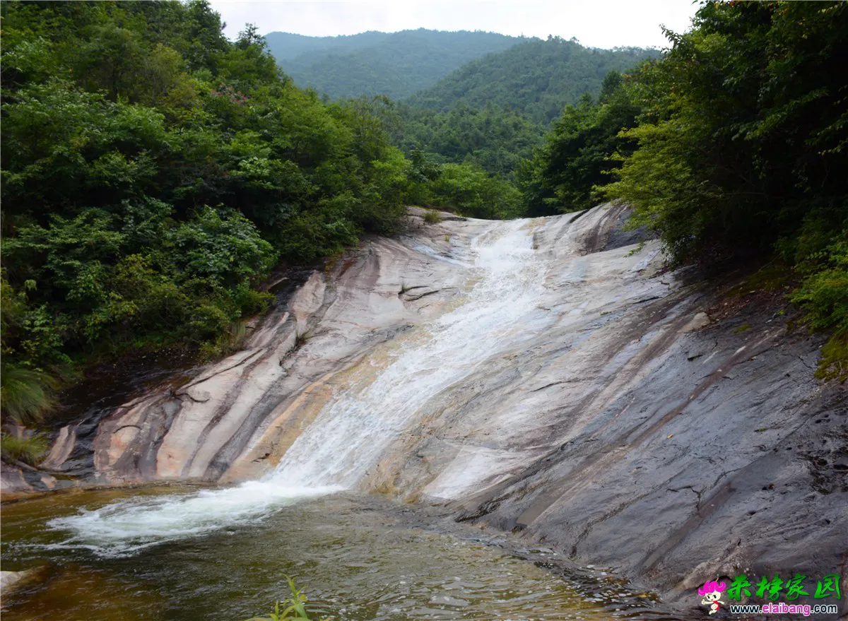 dsc_3514.webp