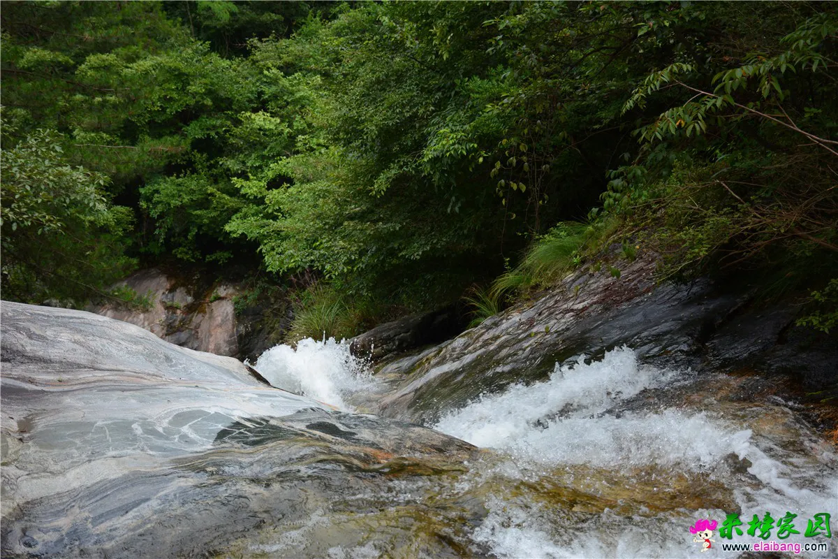 DSC_3442.webp