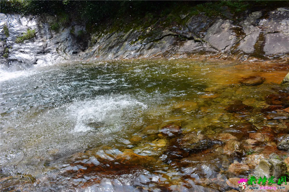 DSC_3463.webp