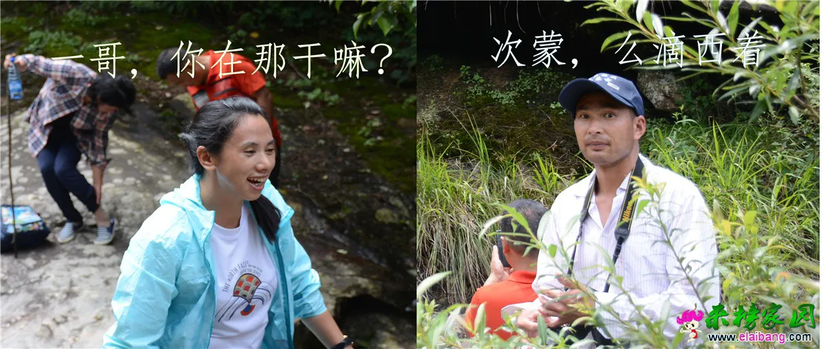 未命名-1.webp