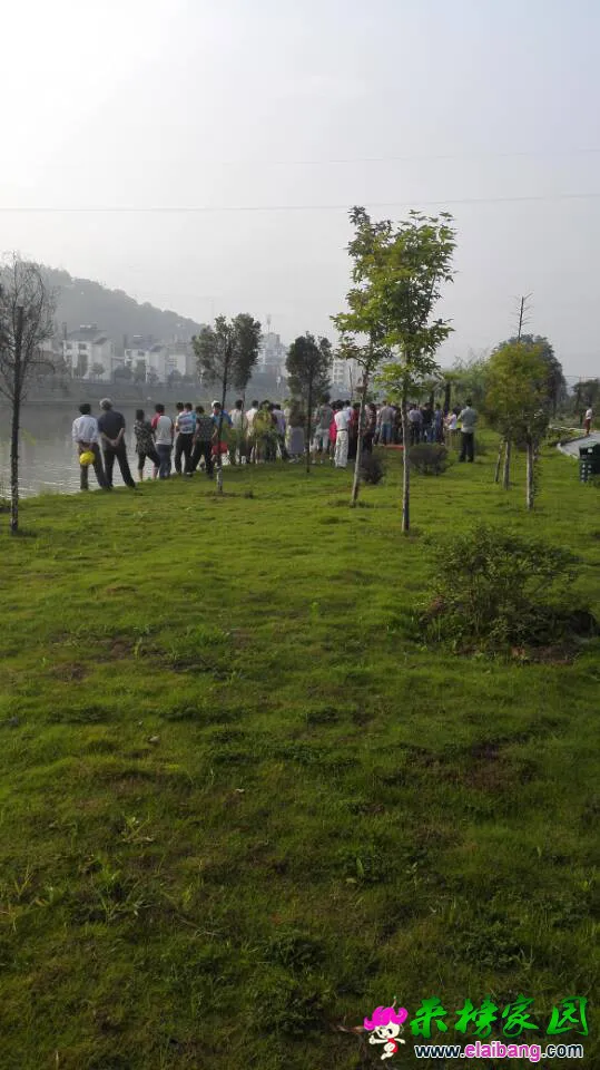 Cache_-71387bda6cef5144..webp