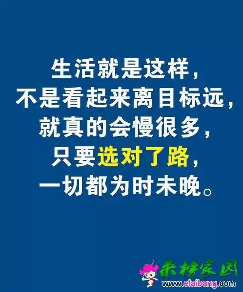 640.webp (11).webp