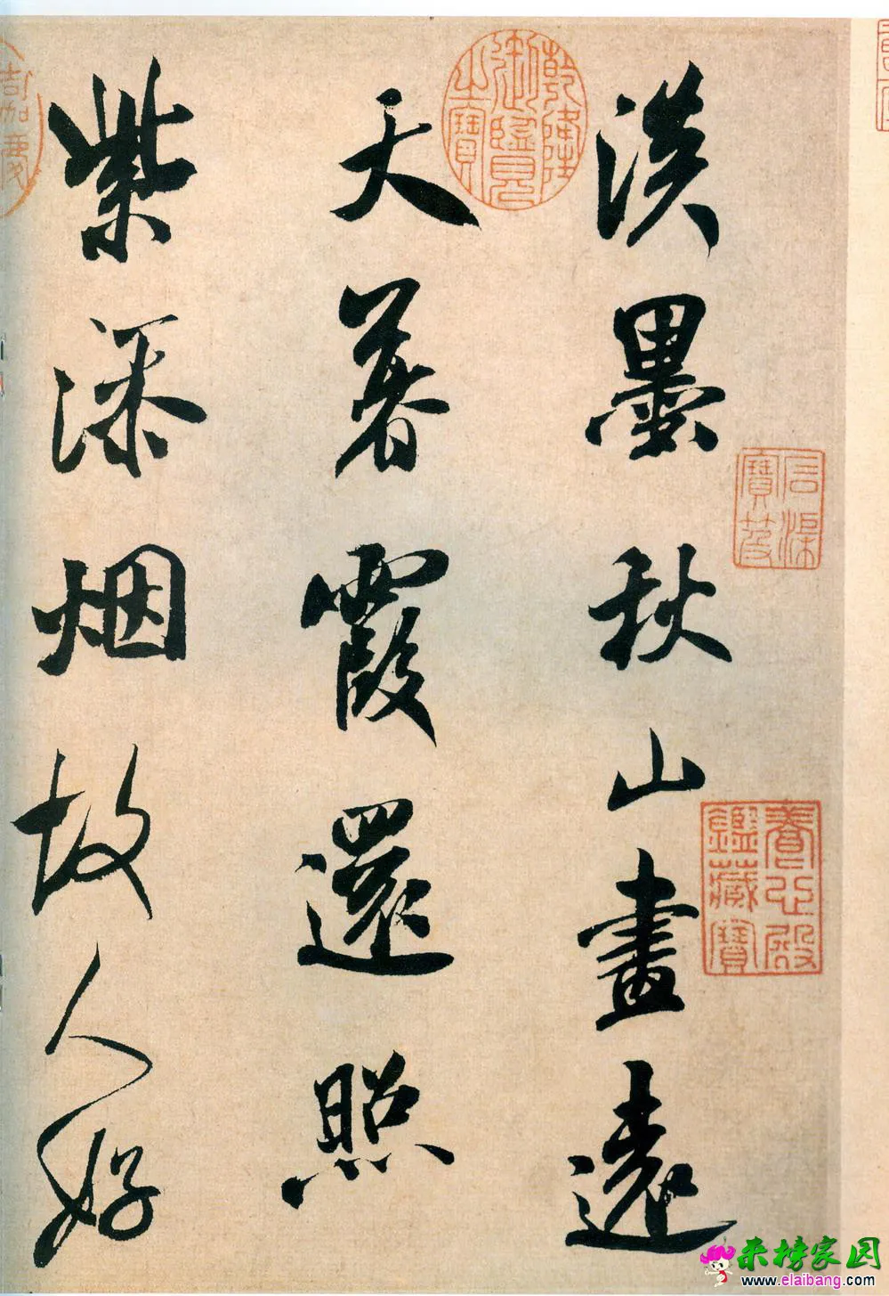 3453060_1.webp