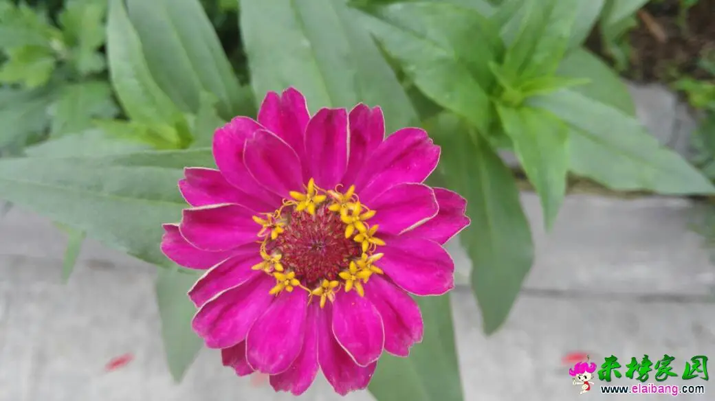 140558v55s4t19b95pkp9p.webp