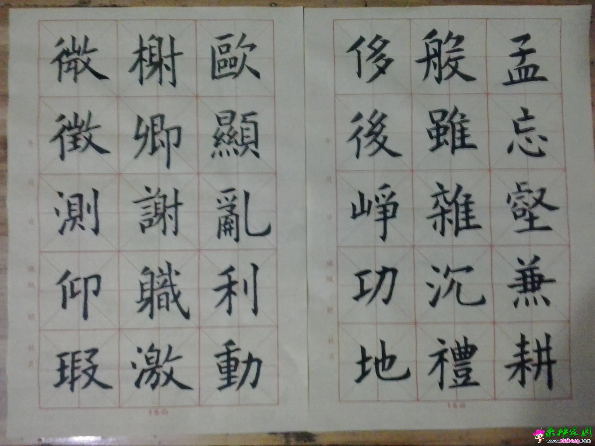 20150718_195613.webp