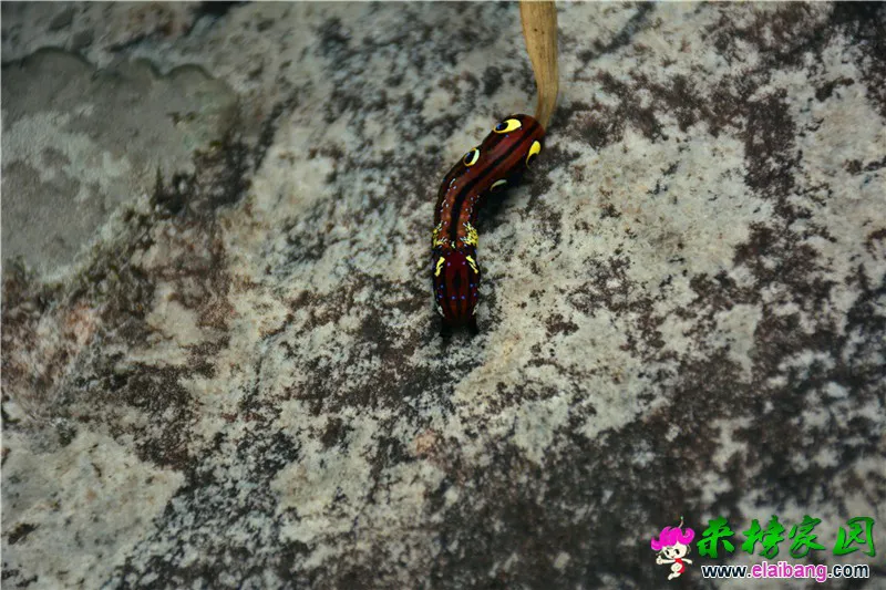 DSC_3901.webp