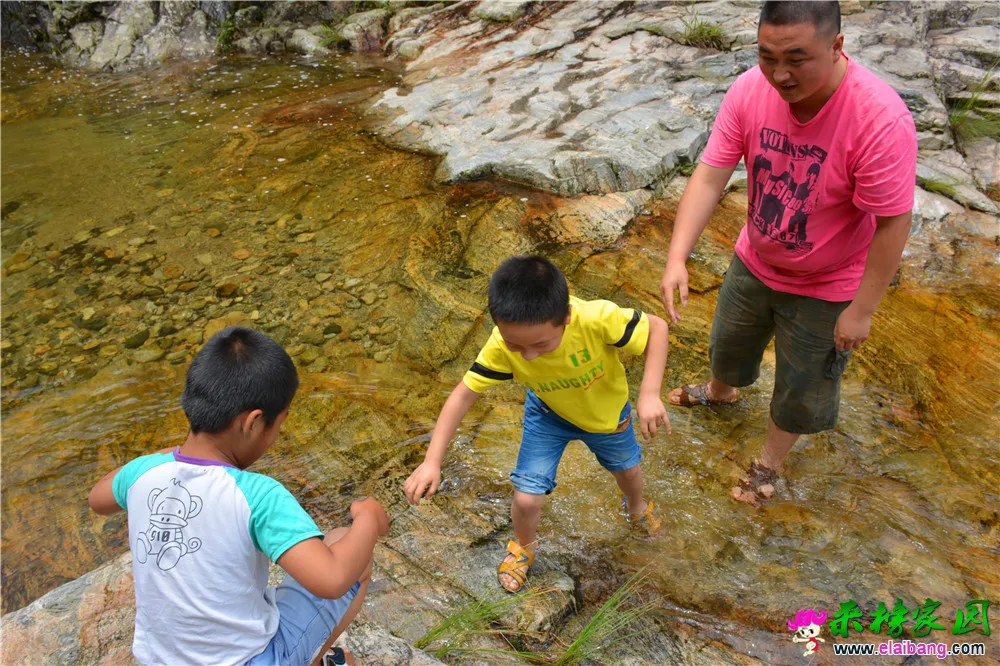 DSC_3895.webp
