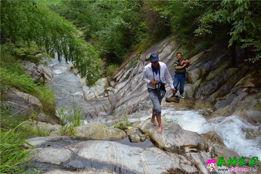 DSC_3907.webp