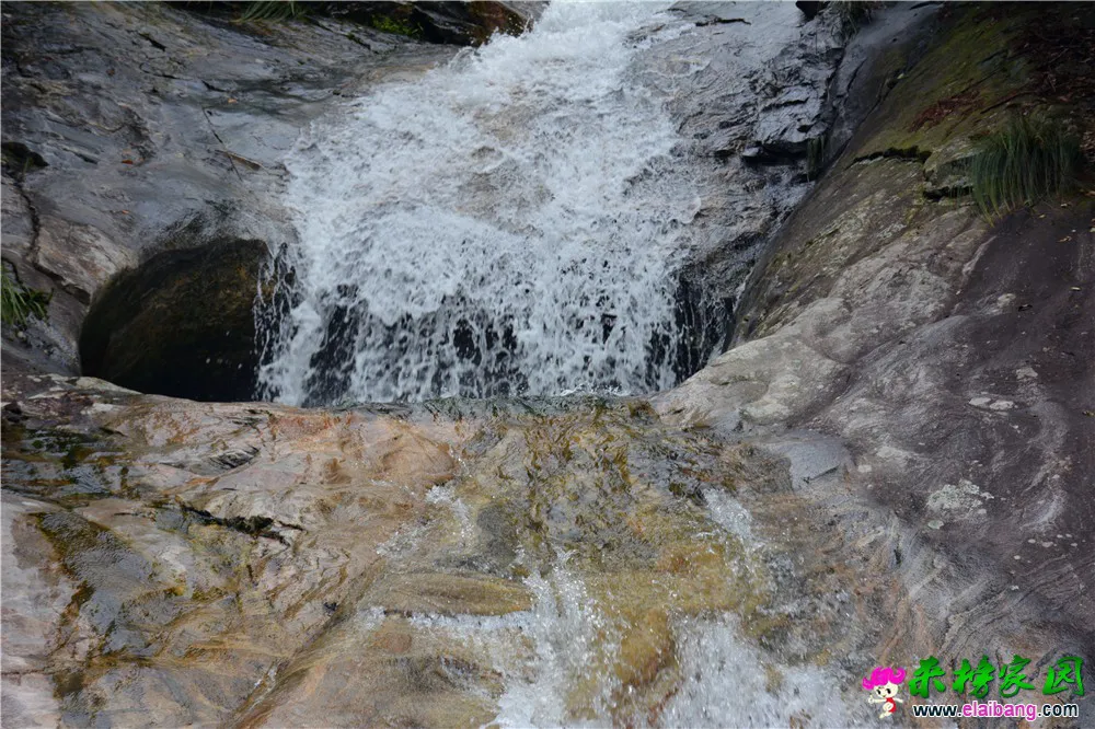 DSC_3923.webp