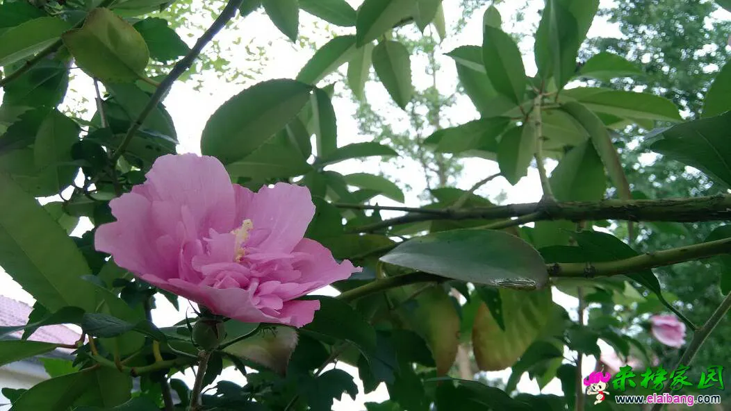 202242e8qrcmgesntkeamh.webp