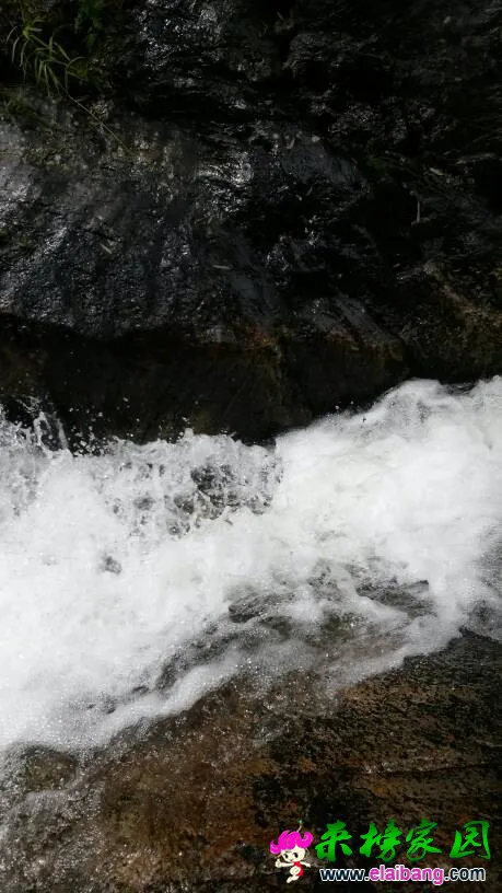 202810j301fy88bggbh8jb.webp
