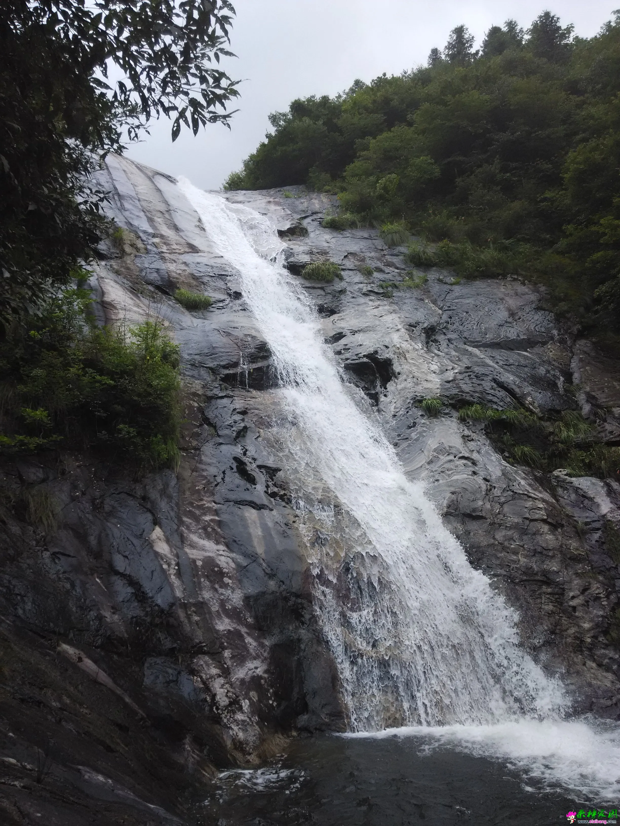 IMG_20150719_120029.webp