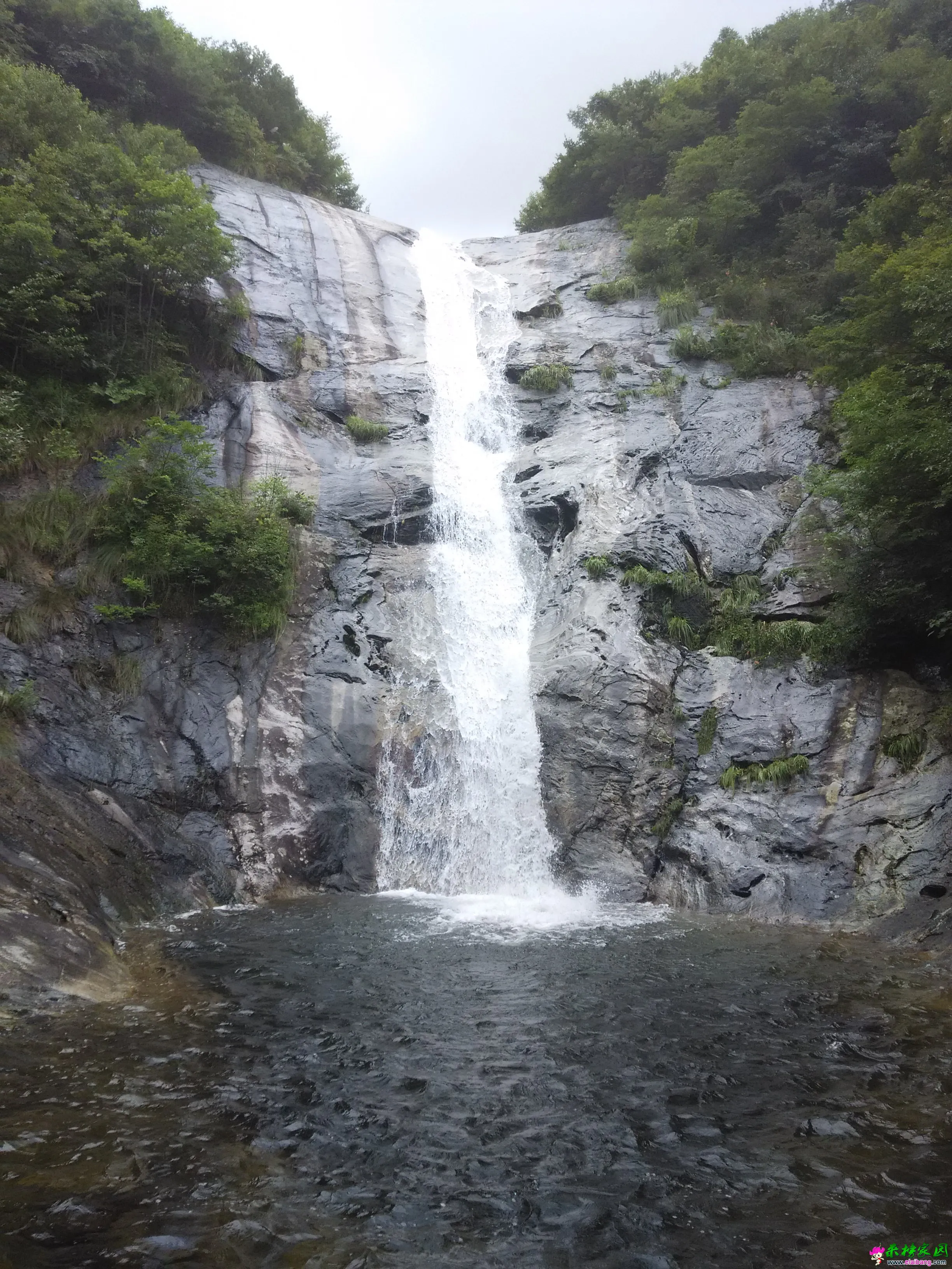 IMG_20150719_115730.webp