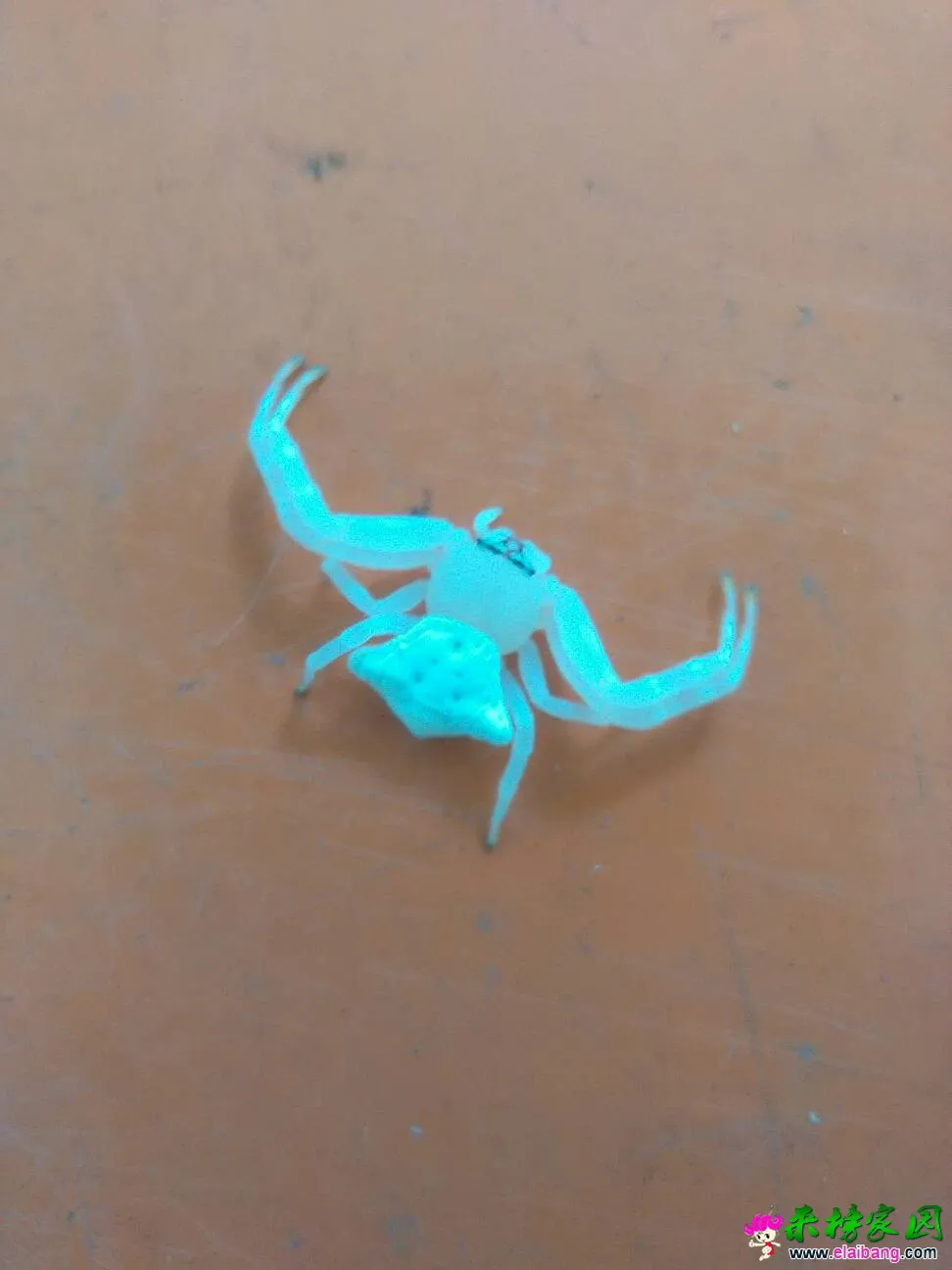 105051vm920noskhjw00x9.webp