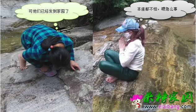 QQ图片20150720173606.webp
