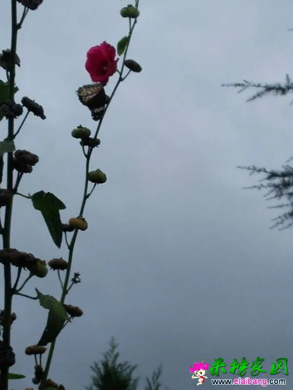 222435jkzhu0gkf6621fnz.webp