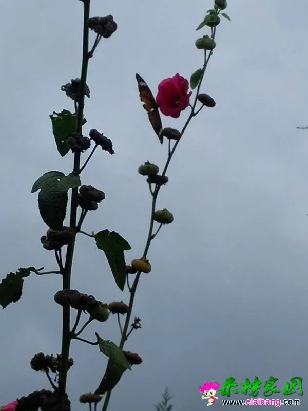 222436i1xzyyeq6c61xerz.webp