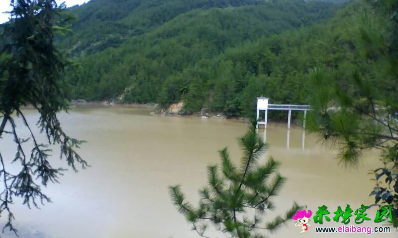 130419tcnmniife75ieqz2.webp