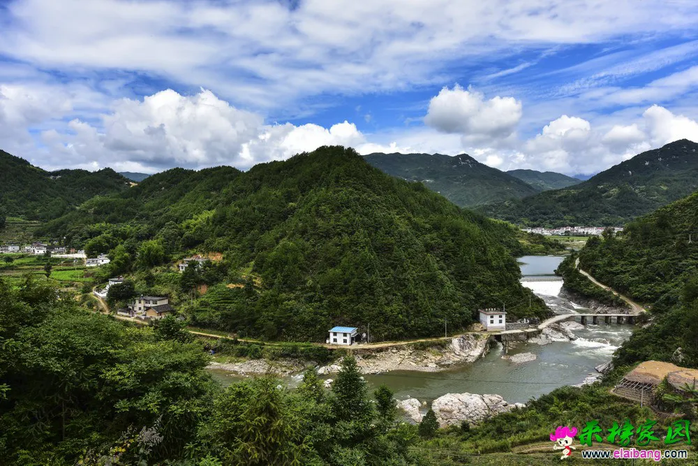 LJH_2964.webp