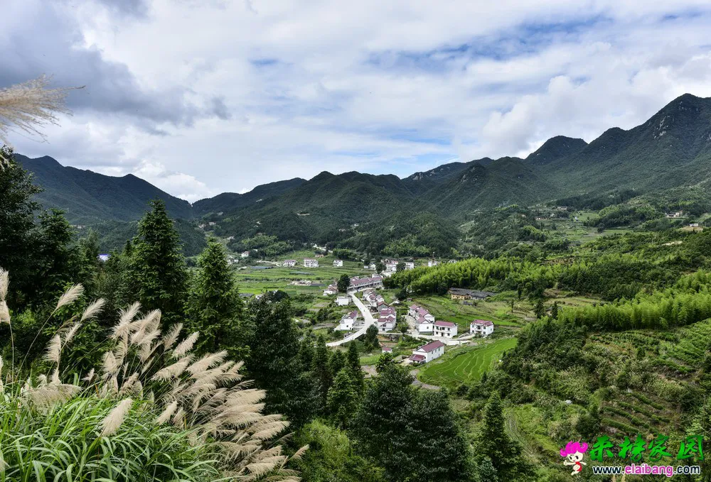 LJH_2977.webp