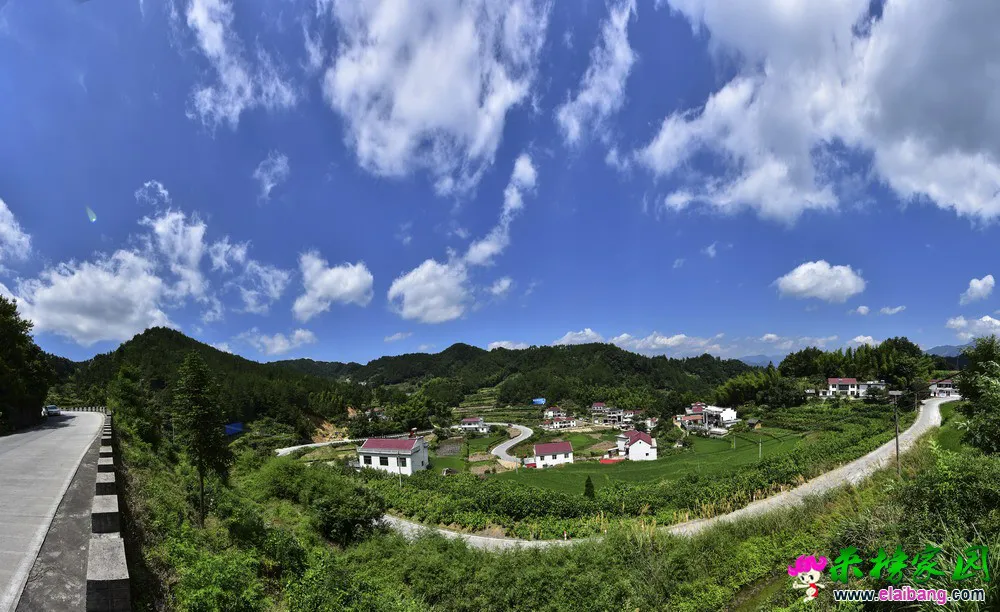 LJH_2999 Panorama.webp