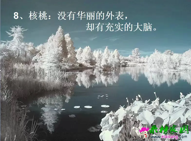 0.webp (7).webp