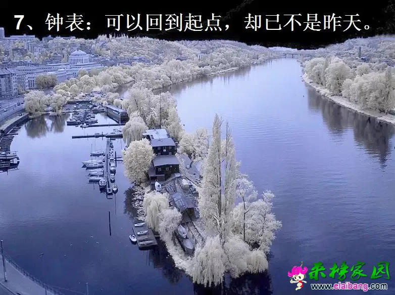 0.webp (6).webp
