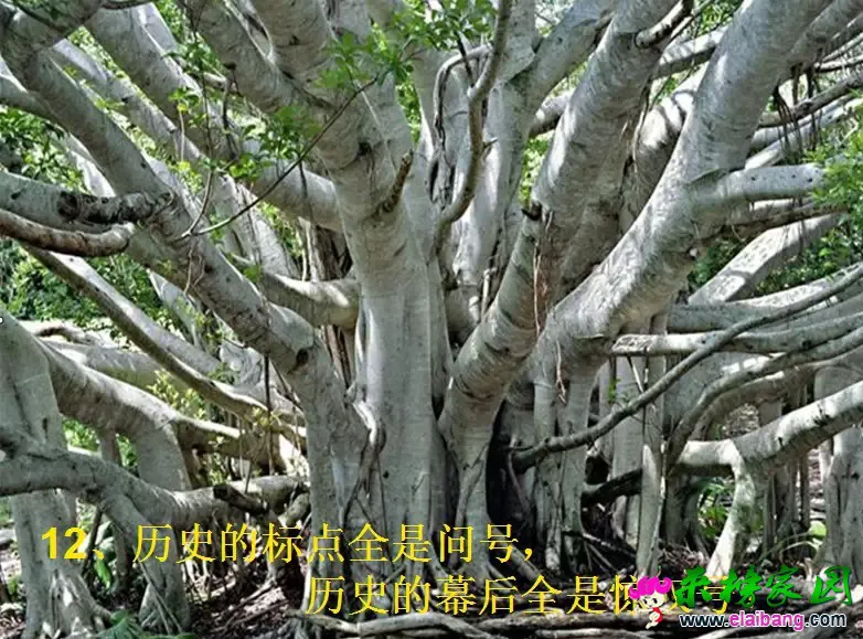 0.webp (11).webp