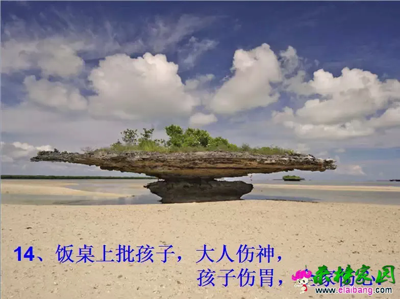 0.webp (13).webp