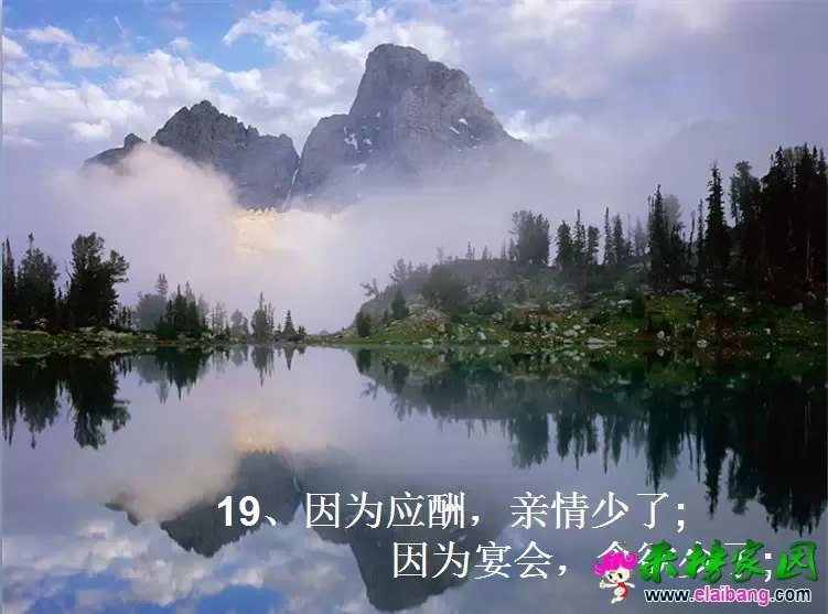 0.webp (17).webp