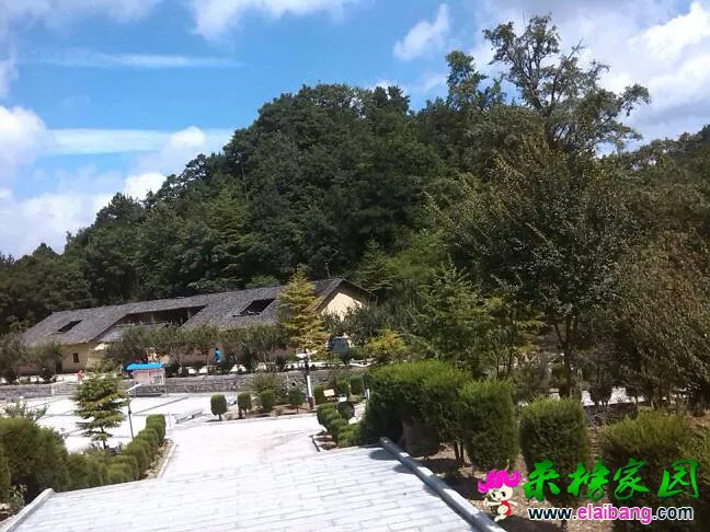 103532tgjf93p198ccpc1f.webp