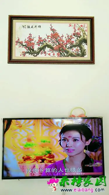 105350zc3ic6rrojjwi747.webp