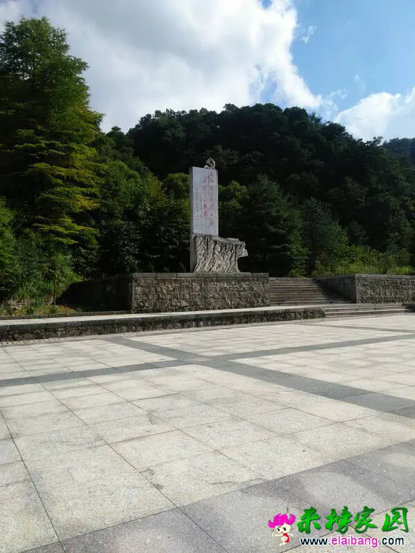 152140dgcc9i49zjipim48.webp