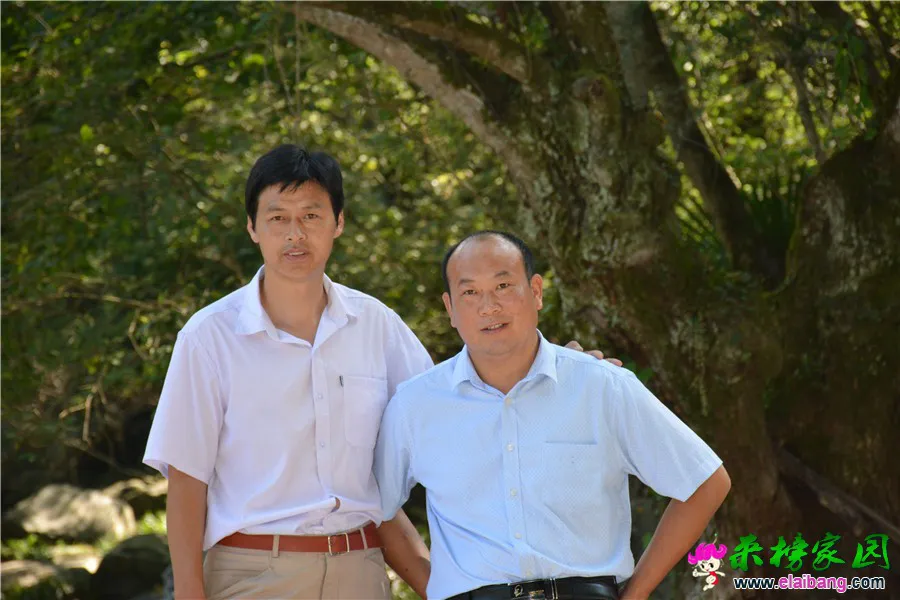 DSC_4366.webp