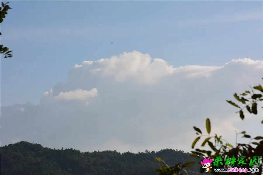 DSC_4298.webp